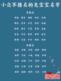 兔年女孩名字寓意好的字 2026属兔女孩诗经名字-第1张图片