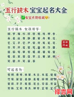 五行属木的字女孩用寓意好的名字 五行属木的名字女孩用字-第1张图片