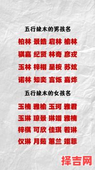 五行属性木的女孩名字 五行属木有涵养的女孩名字-第1张图片