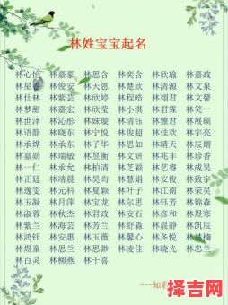 带林的女孩名字好听的 带林字的名字寓意女孩-第1张图片