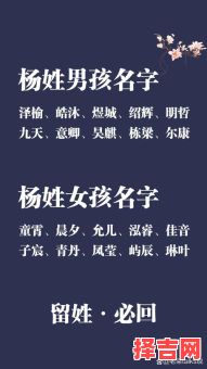 杨的女孩子名字 杨女孩子名字洋气-第1张图片