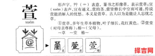萱起名字女孩名字 萱取名字女孩名字-第1张图片