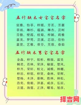 五行缺木女孩起什么名字 五行缺木的女孩取什么名字好-第1张图片