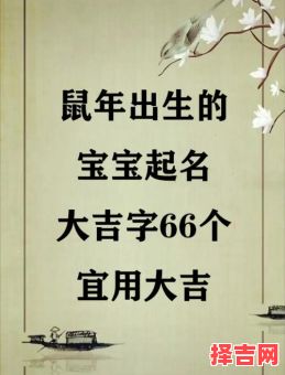 五行属火的字男孩用字鼠宝宝 鼠宝宝五行属火的字取名女孩-第1张图片