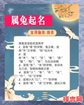 白兔适合取什么名字 属兔姓白的女孩名字有那些-第1张图片