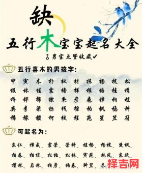 名字属木的字女孩名字 属性木的字女孩名字-第1张图片