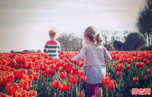 玉字取名女孩名字寓意 玉字取名女孩名字-第1张图片