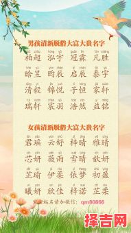 女孩清新脱俗大富大贵名字 女孩富贵大气的名字-第1张图片