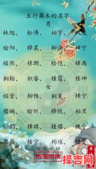 属木的字女孩名字 属性木的女孩名字-第1张图片