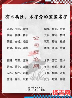 带木字的女孩名字大气一点 带木字头的女孩名字-第1张图片