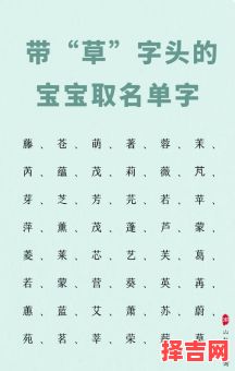 草字头女孩名字大全集免费 草字头女孩取名字有哪些字-第1张图片