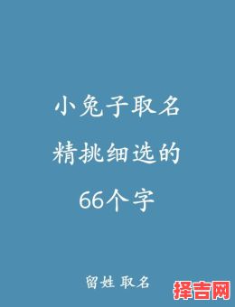 属兔女孩名字大全洋气点的 属兔女孩名字简单大方洋气-第1张图片