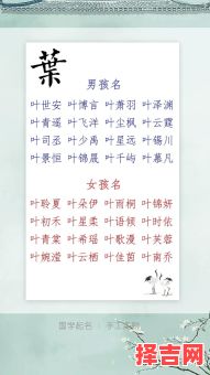 女孩姓叶取什么名字好听两个字 女孩姓叶取什么名字好听-第1张图片