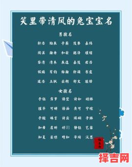 2026年兔年是什么命 2026年兔年出生女孩取名-第1张图片